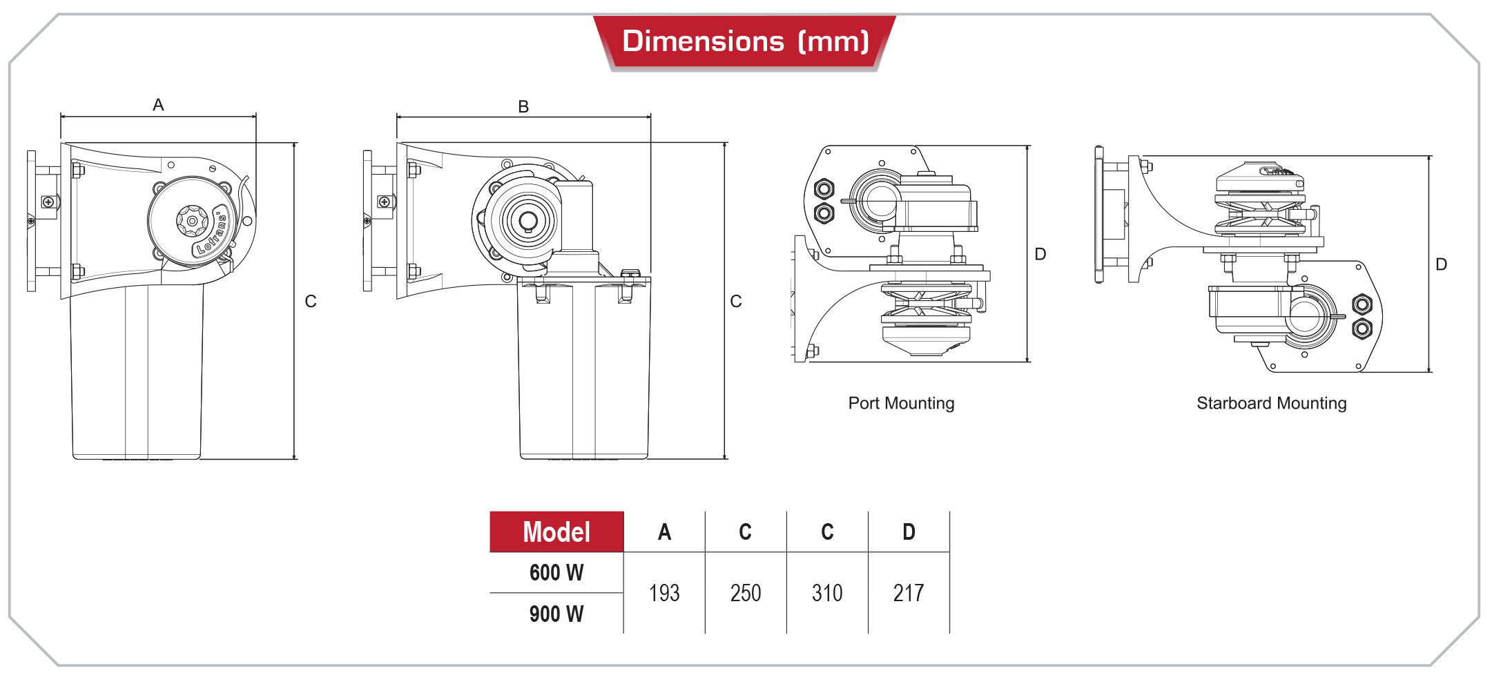 Gecko updated dimensions
